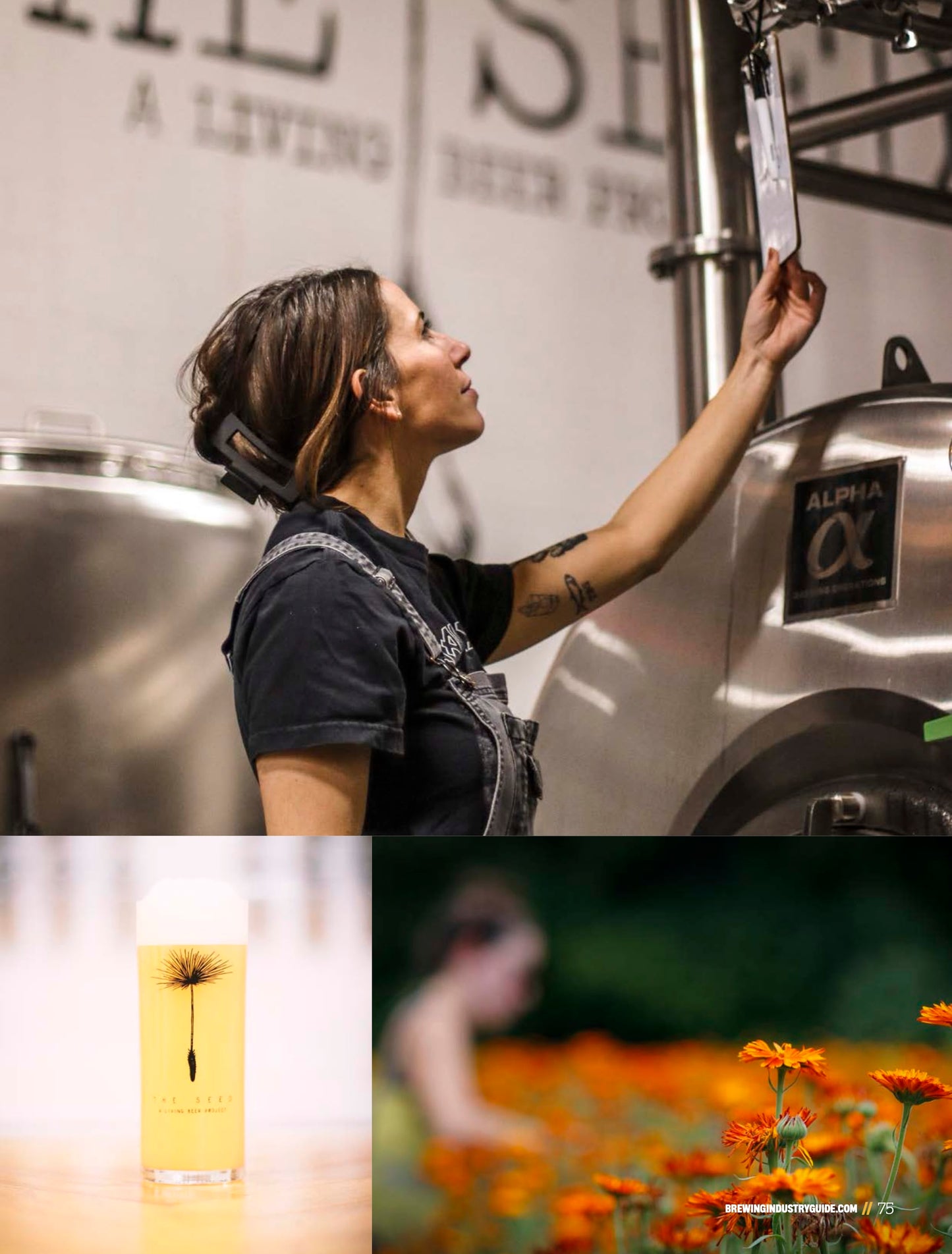 Brewing Industry Guide Spring 2025