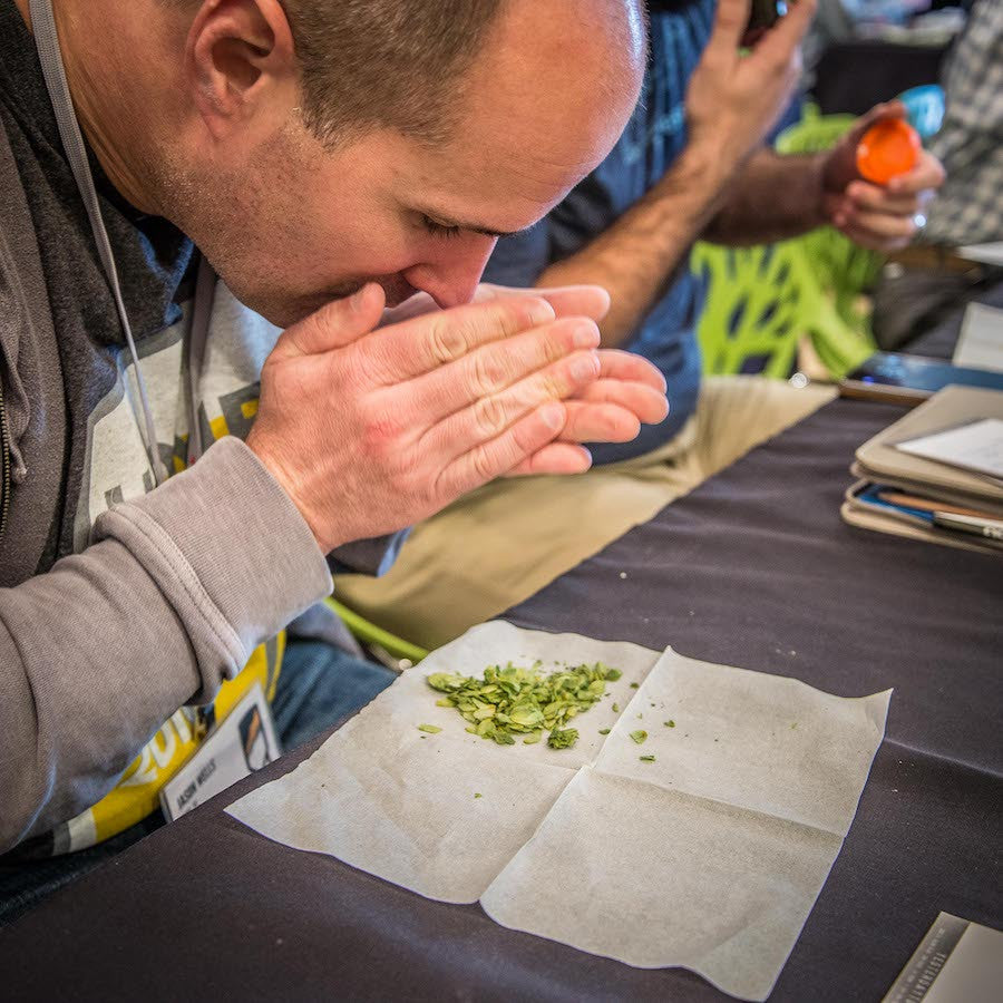 Brewery Workshop: New Brewery Accelerator (Denver, November 1-4, 2020) - Craft Beer & Brewing