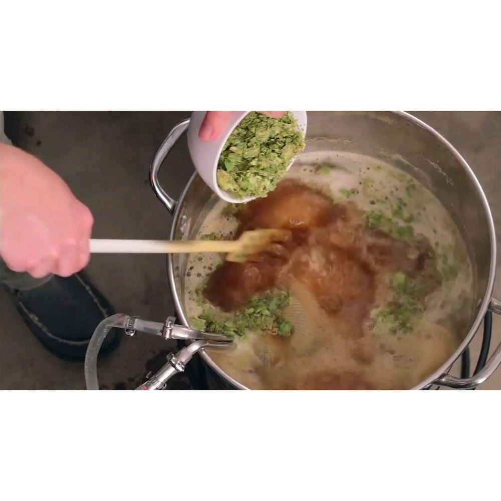 Brewing Great Beer Start-To-Finish (Extract Brewing Video Download) - Craft Beer & Brewing