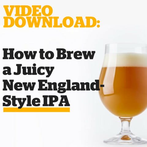 Homebrewers Box Set (Video Download) - Craft Beer & Brewing