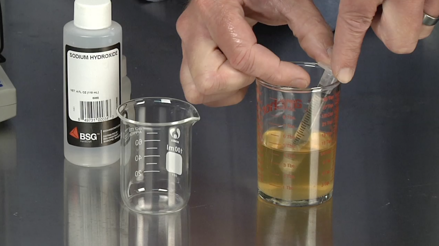 Quick Souring Methods (Video Download) - Craft Beer & Brewing