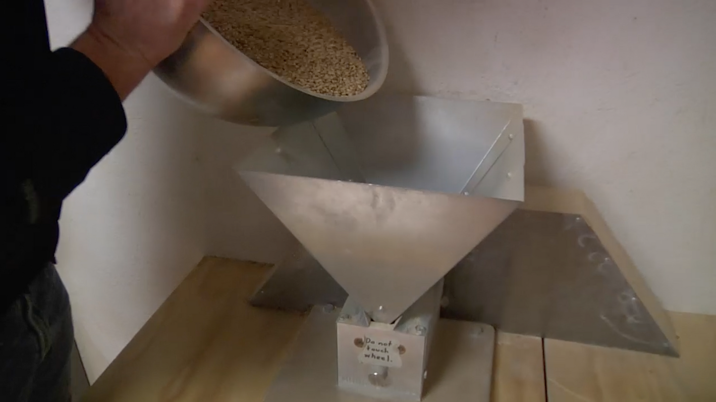 Make the Most of Your Malt Extract Kit (Video Download) - Craft Beer & Brewing