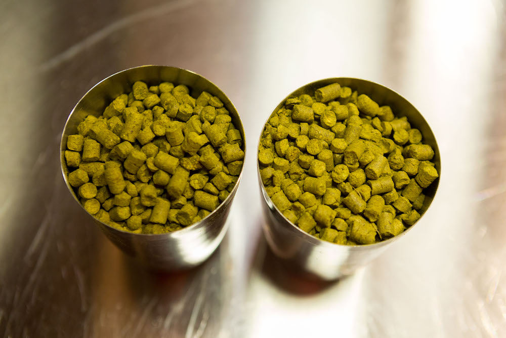 How to Brew Great Stouts (Video Download) - Craft Beer & Brewing