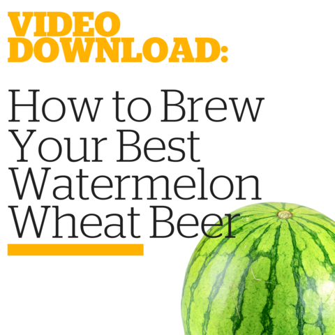 Homebrewers Box Set (Video Download) - Craft Beer & Brewing