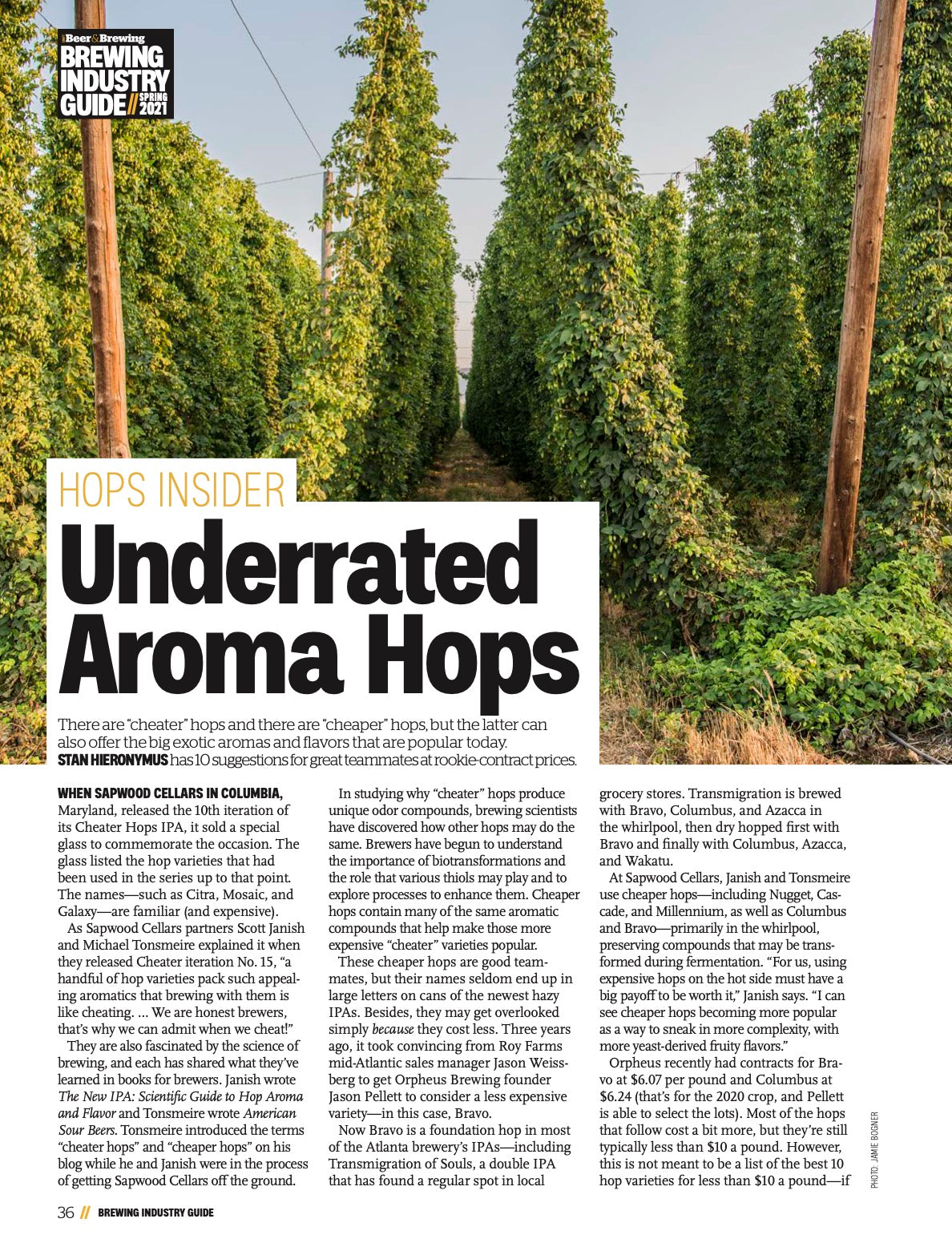 Brewing Industry Guide Spring 2021