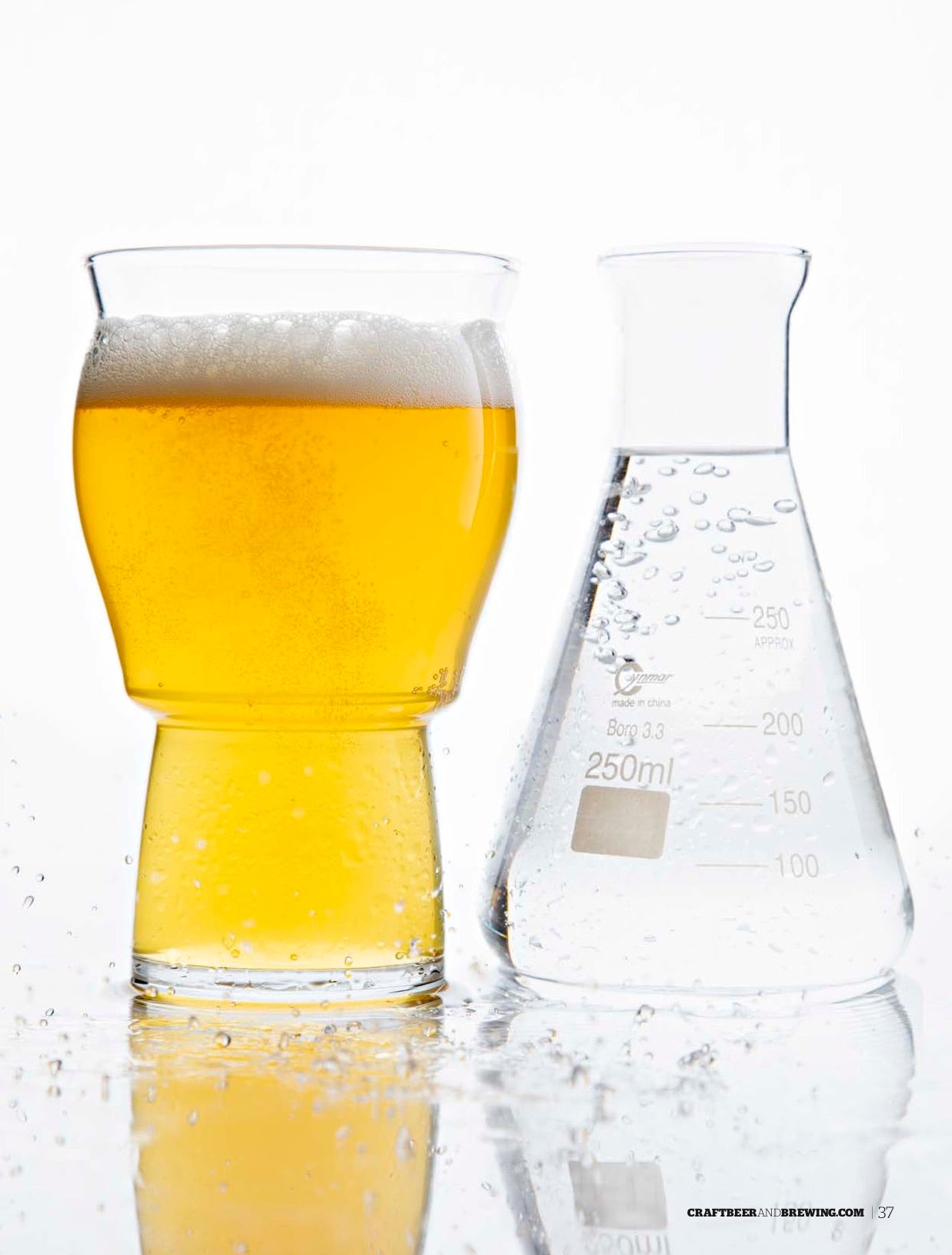 Lagers + Sours (June-July 2019) - Craft Beer & Brewing