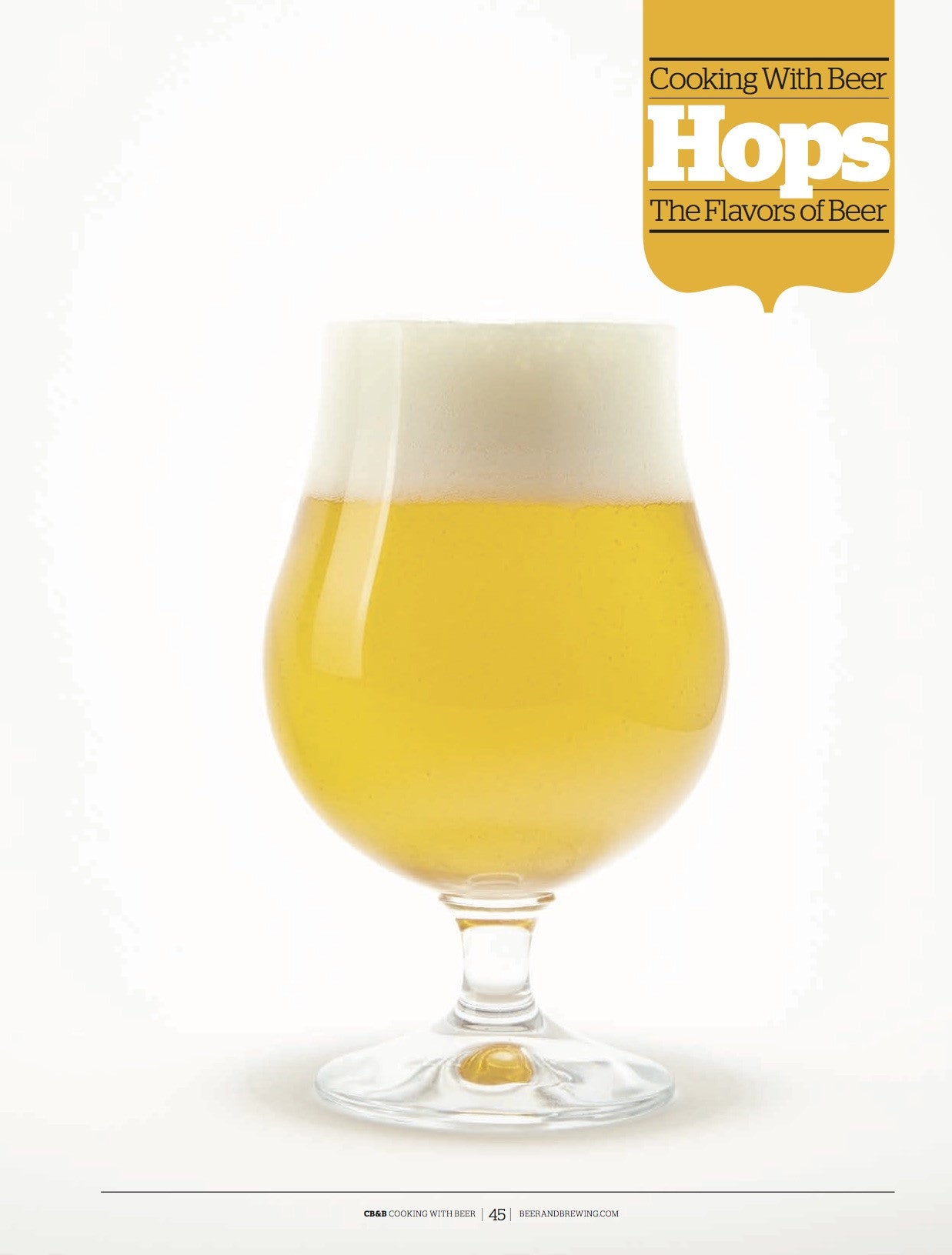 Cooking With Beer 2016 (PDF Download) - Craft Beer & Brewing
