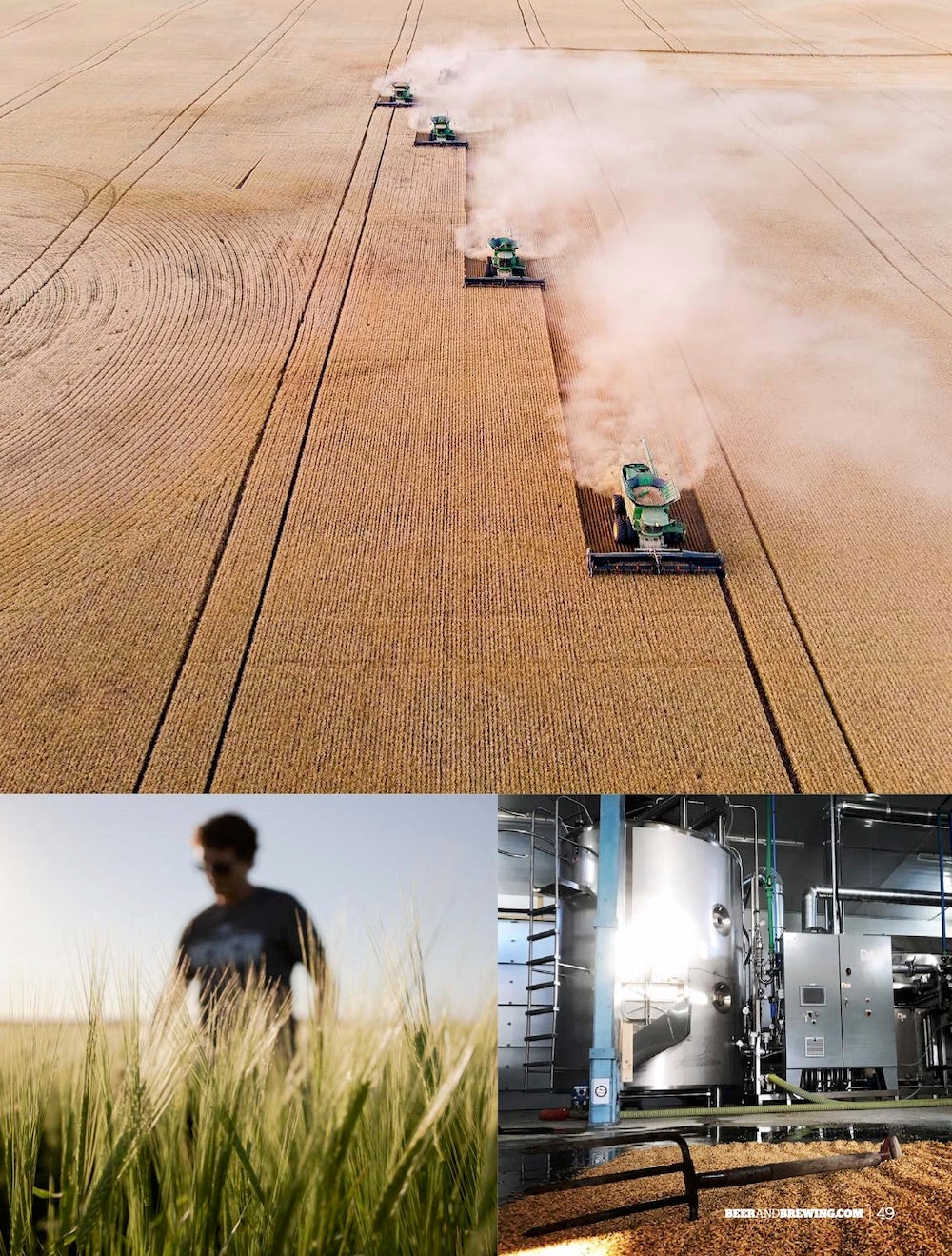 Brewing Craft Classics (Feb-Mar 2021)