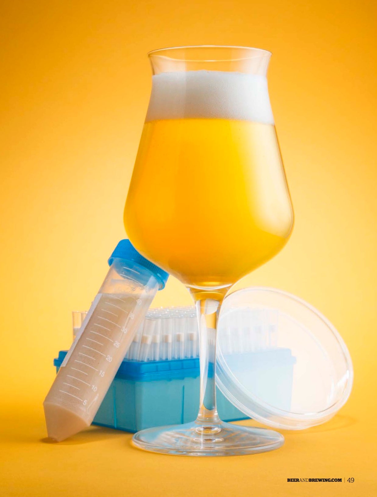 Porter & Stout (Feb-Mar 2018 Issue) - Craft Beer & Brewing