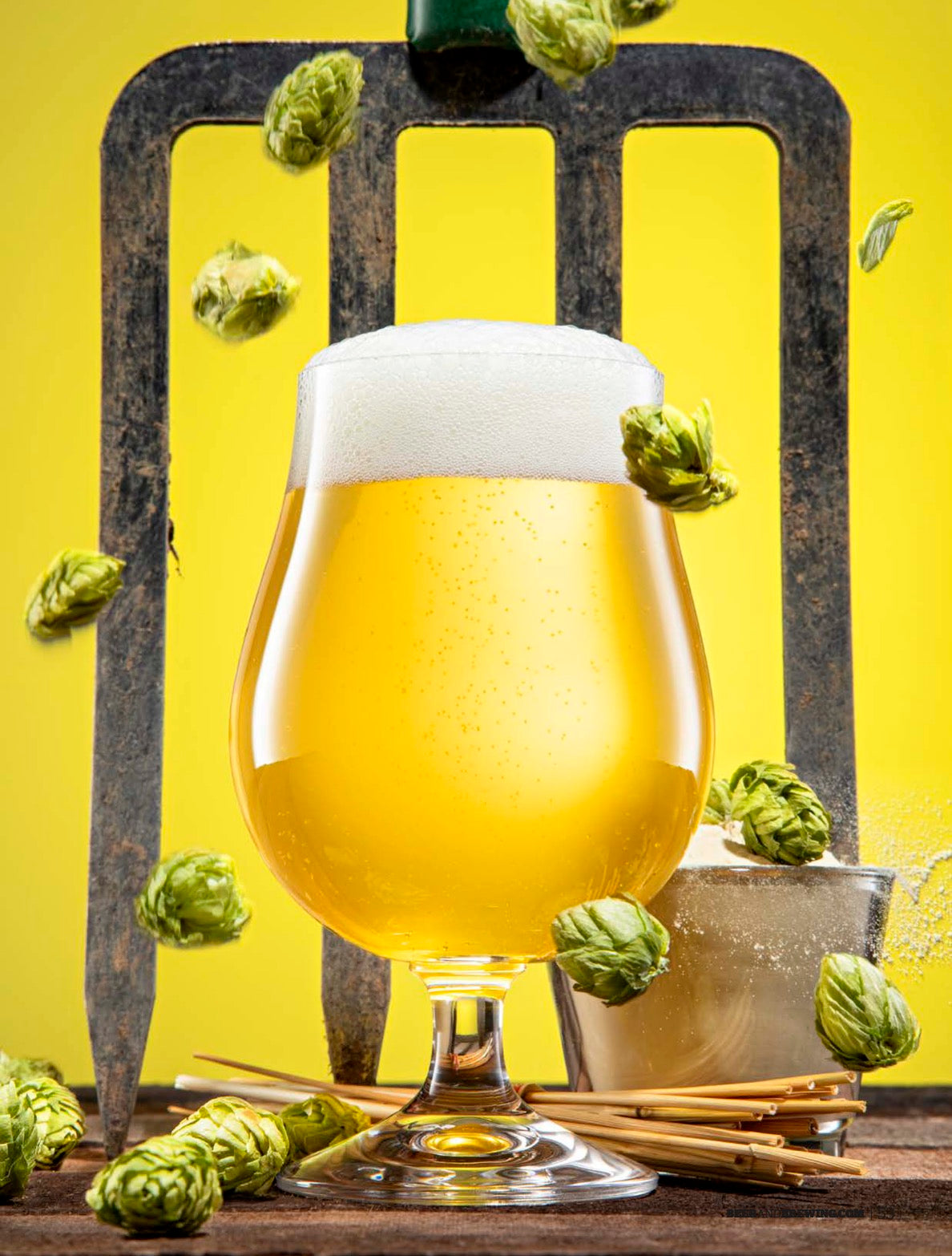 Beyond Beer: Hard Seltzer, Hard Kombucha, and More (Apr-May 2021)