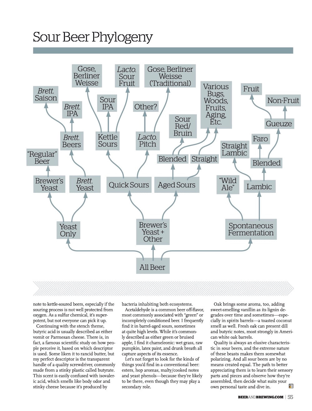Brewing Craft Classics (Feb-Mar 2021)