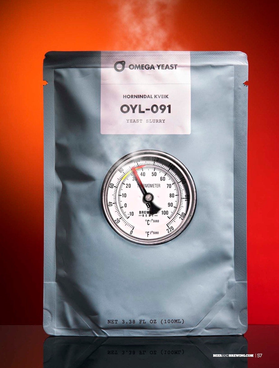 Stout: More Than Just Desserts (Octover-November 2020)