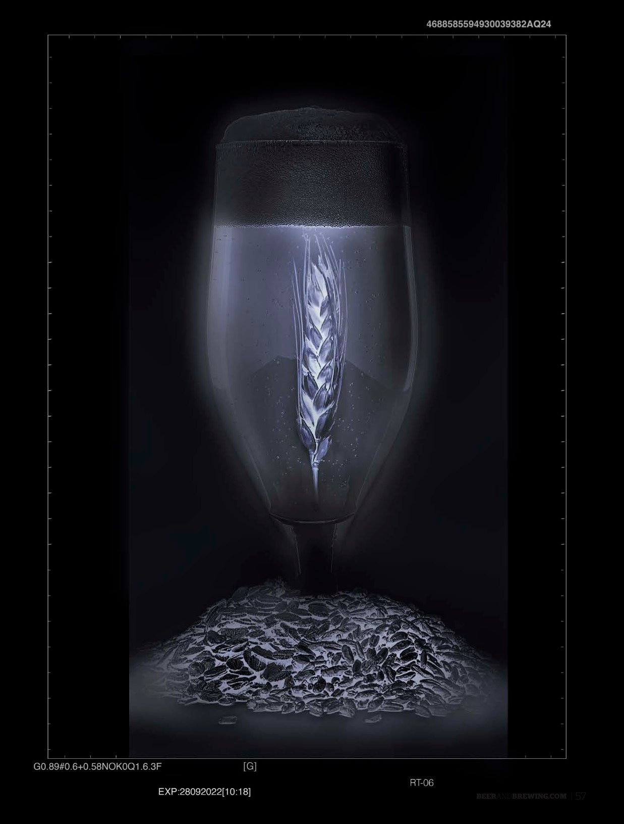 Beyond Barley (April-May 2022)