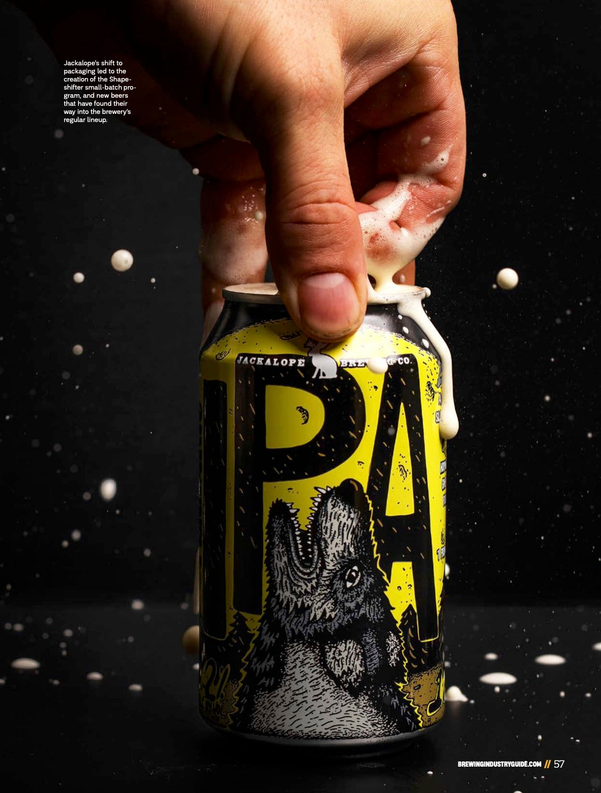 Brewing Industry Guide Spring 2021