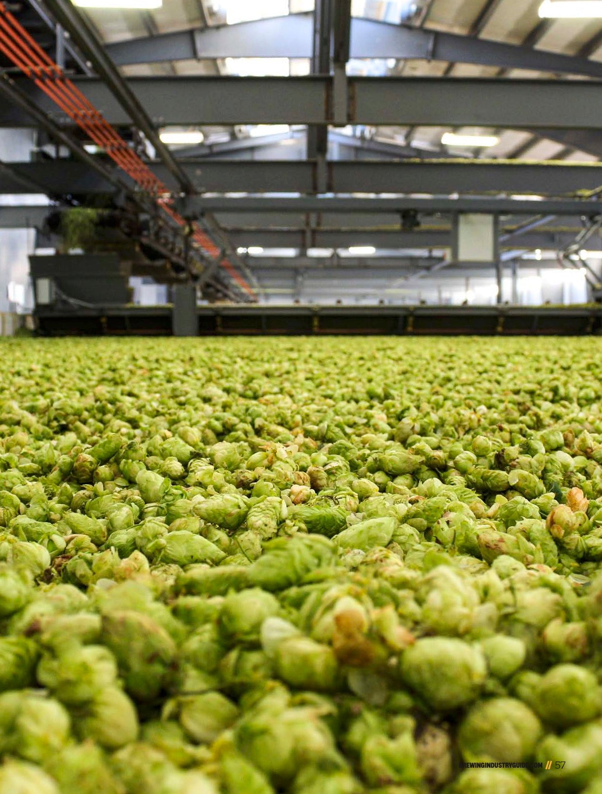 Brewing Industry Guide Winter 2021