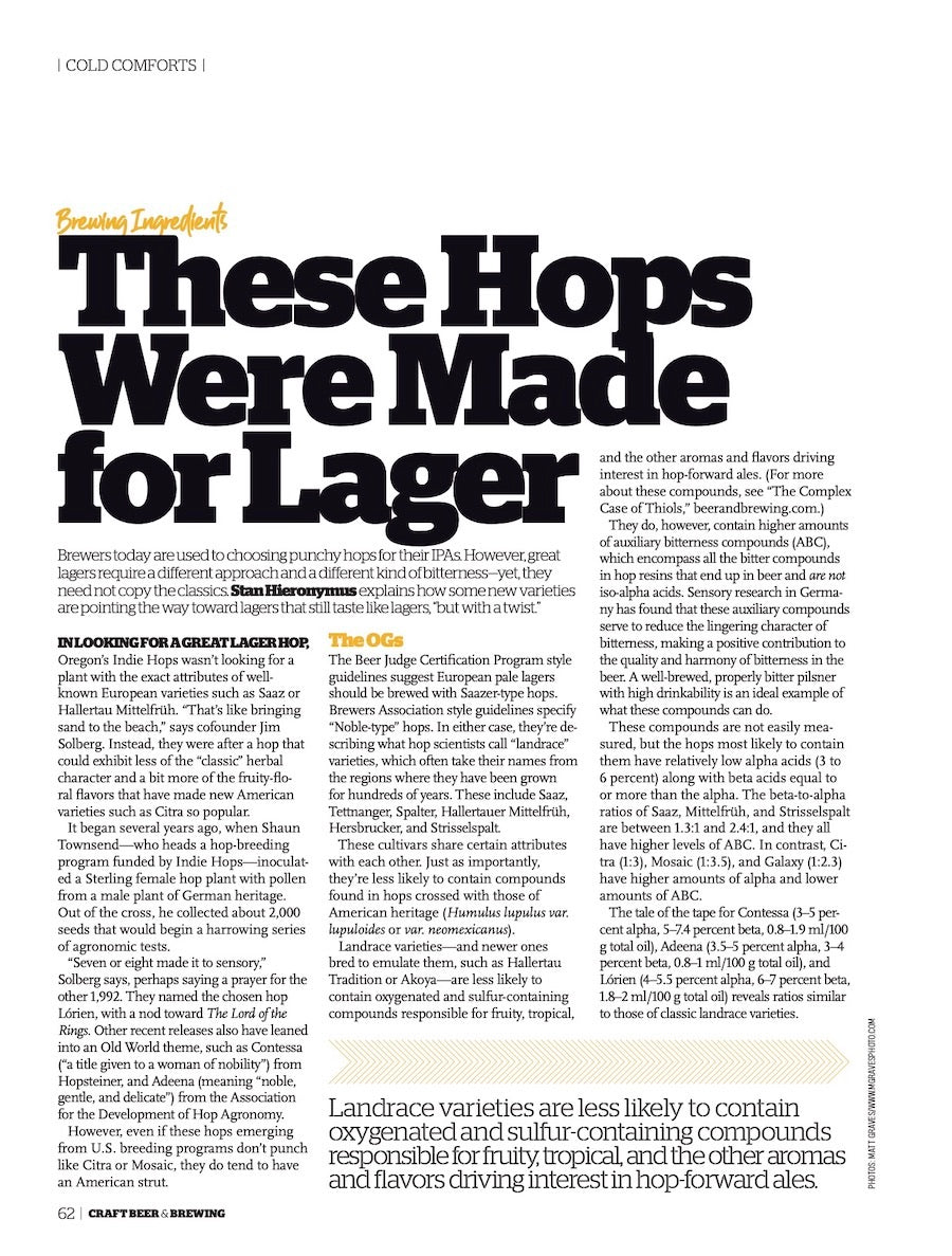 Cold Comforts: Unique Insights From Lager Brewers (June-July 2022)