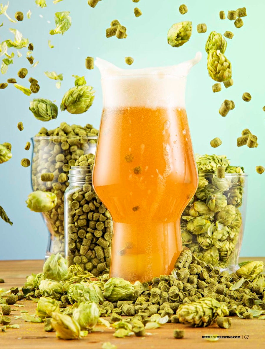 The IPA Issue: Cold IPA, New West Coast, Hop Saturation & More (August-September 2022)