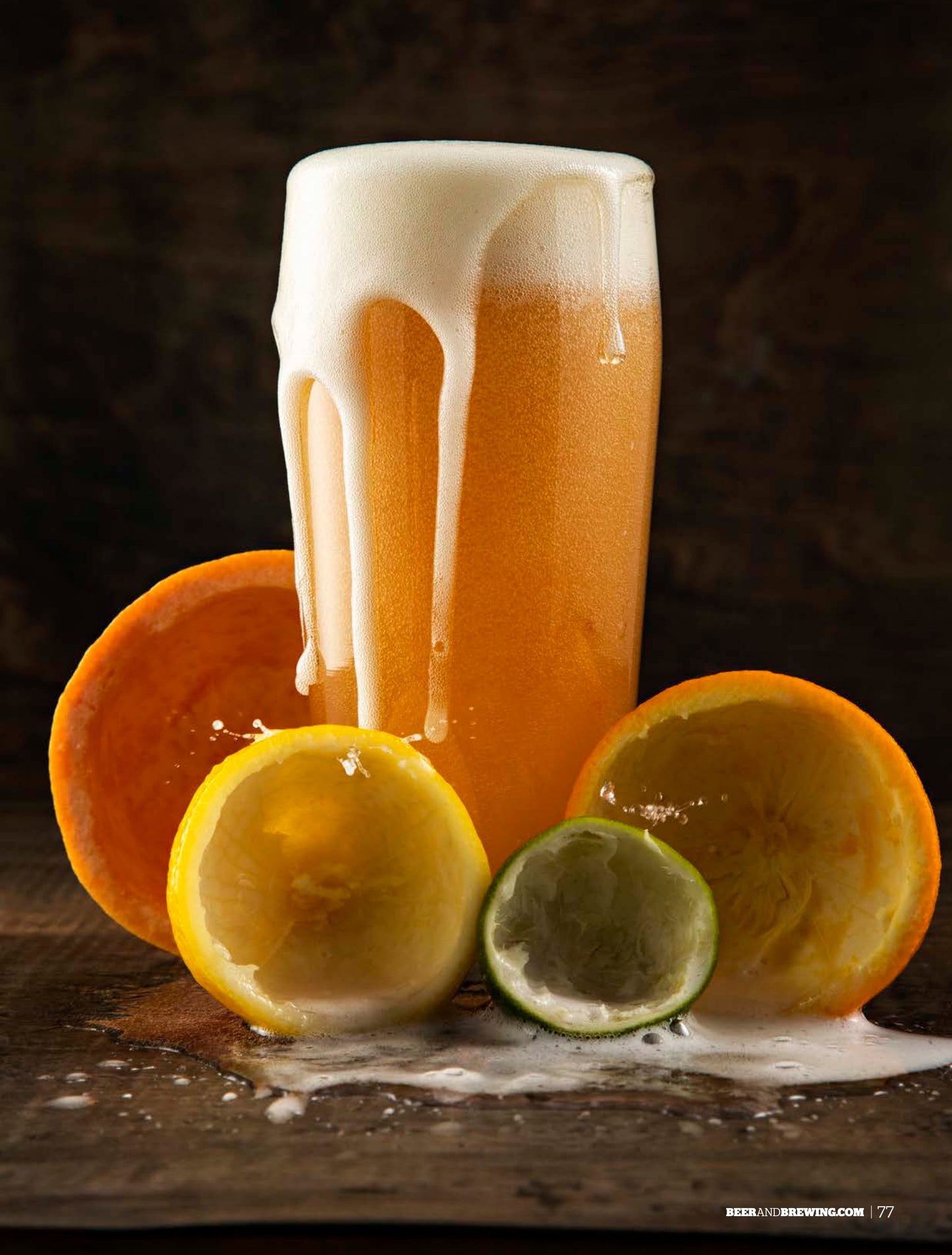 Best in Beer 2022 (December-January 2023)