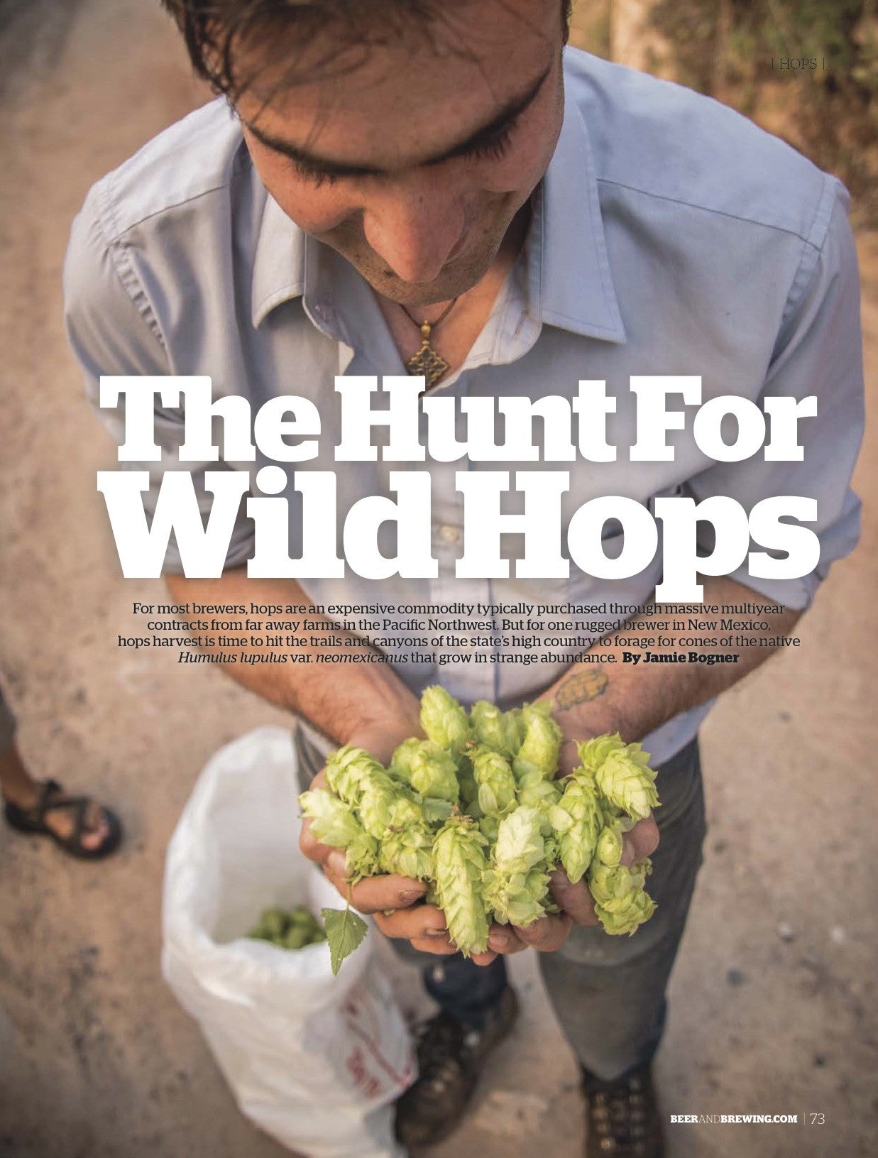 October-November 2016 Issue (The Art of Tart) - Craft Beer & Brewing