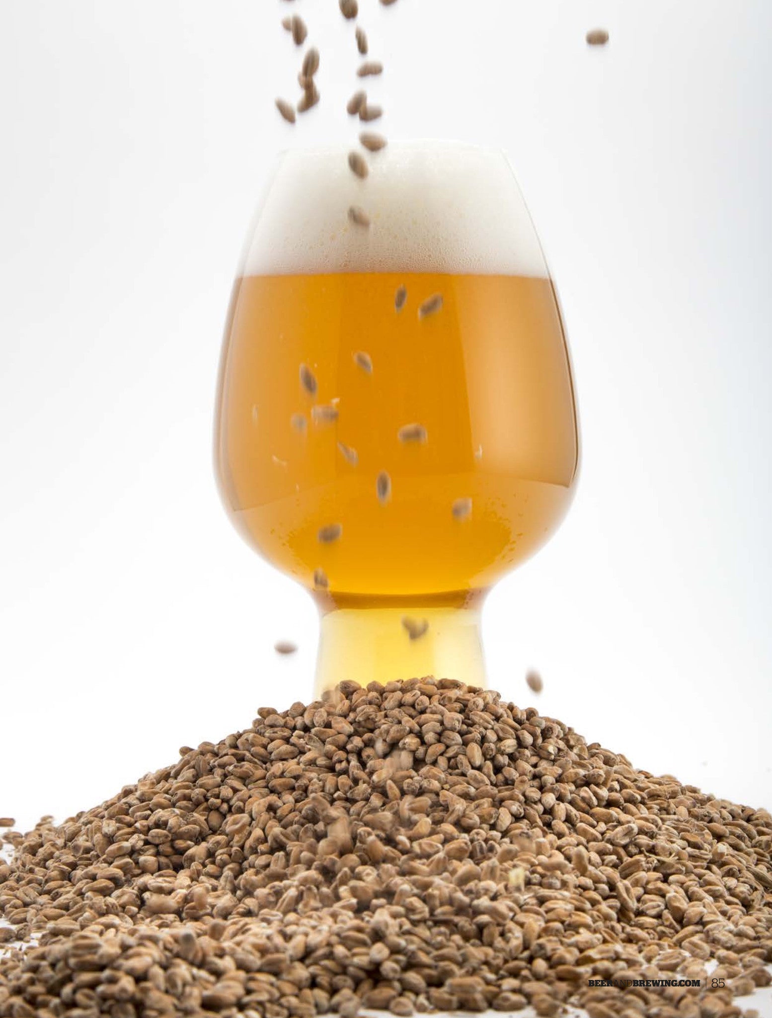 April-May 2017 Issue (The Gear Guide) - Craft Beer & Brewing