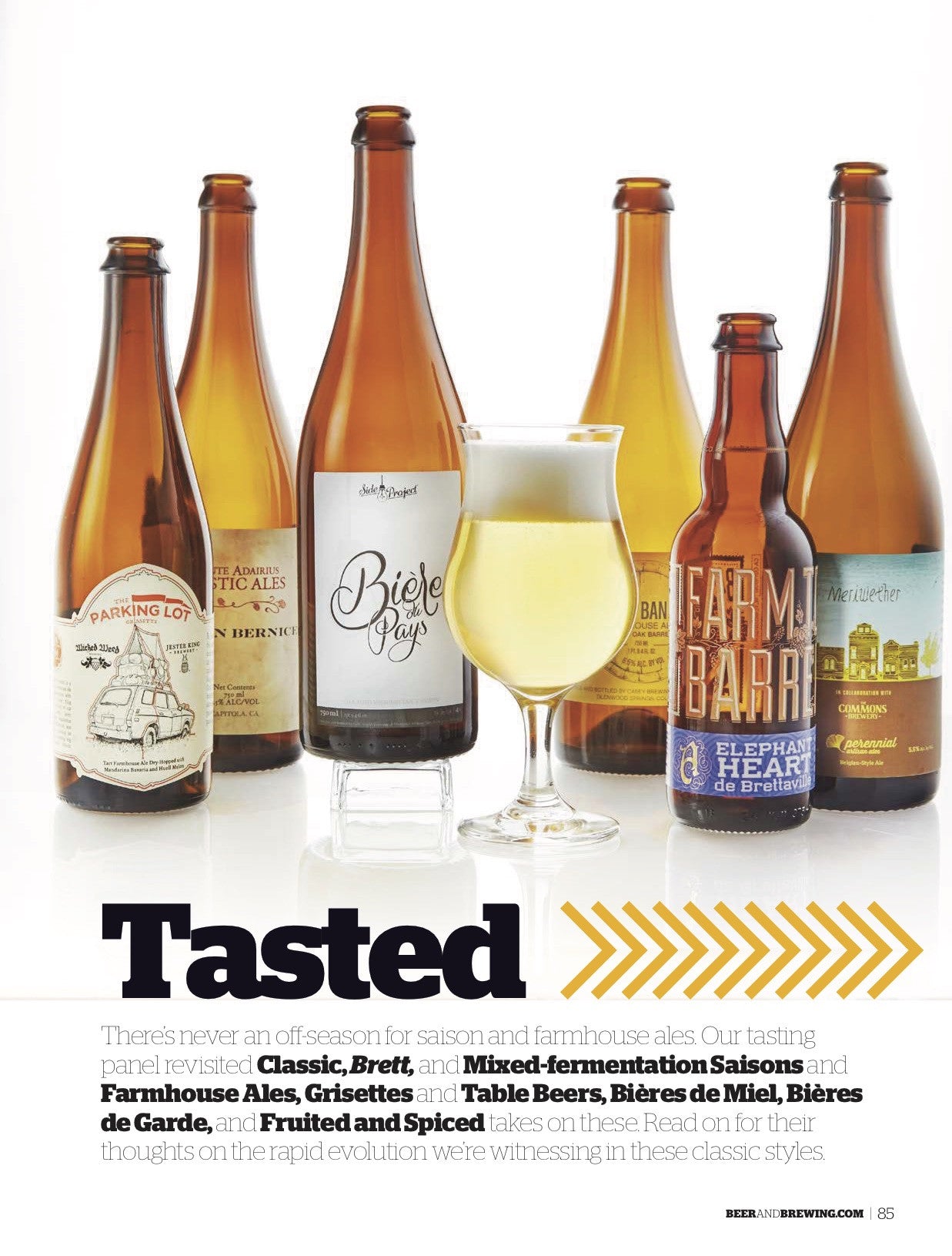 June-July 2016 Issue (Saison: Naturally Wild) - Craft Beer & Brewing