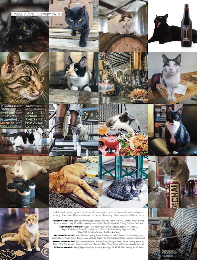 Witness the Astounding Evolution of the Pale Ale (Apr-May 2018 Issue) - Craft Beer & Brewing