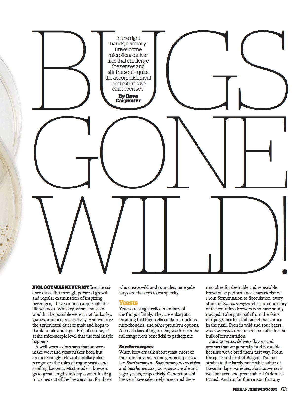 June-July 2015 Issue (Wild & Sour) - Craft Beer & Brewing