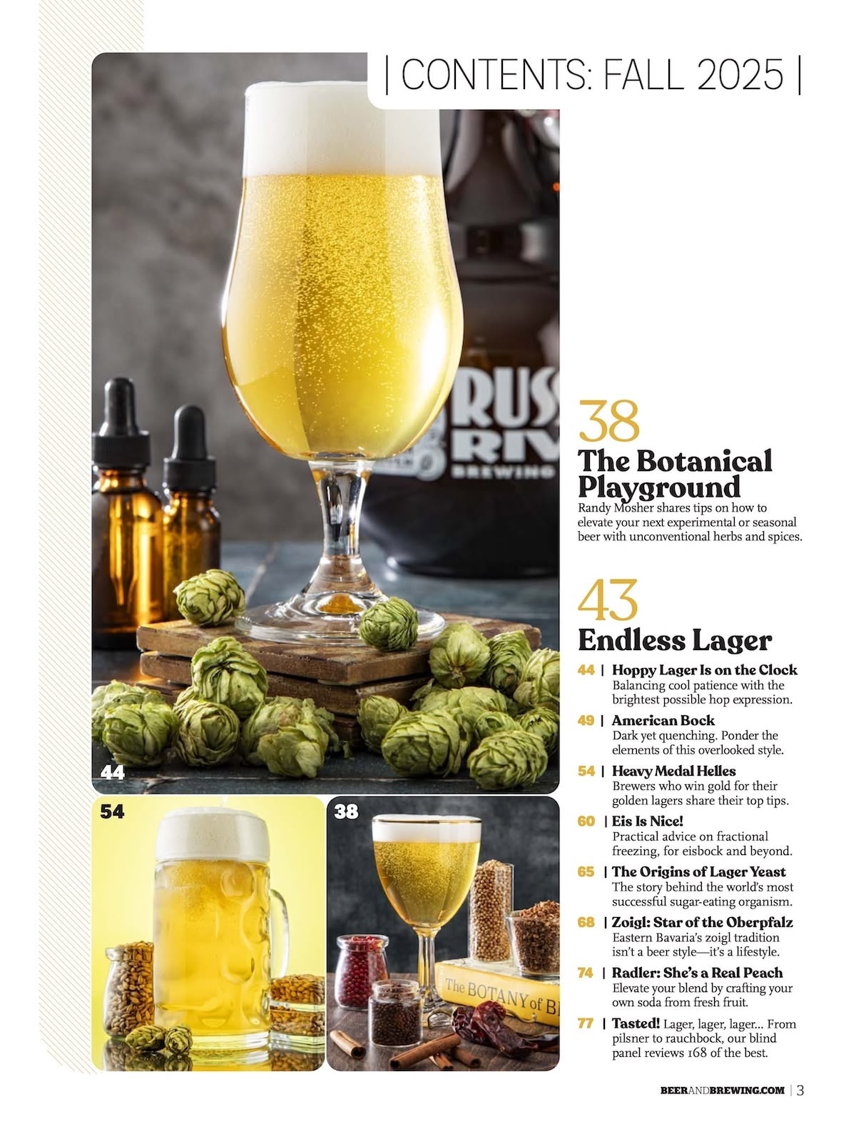 Endless Lager (Fall 2025)