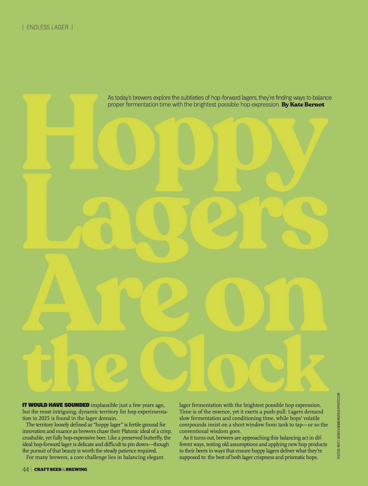 Endless Lager (Fall 2025)