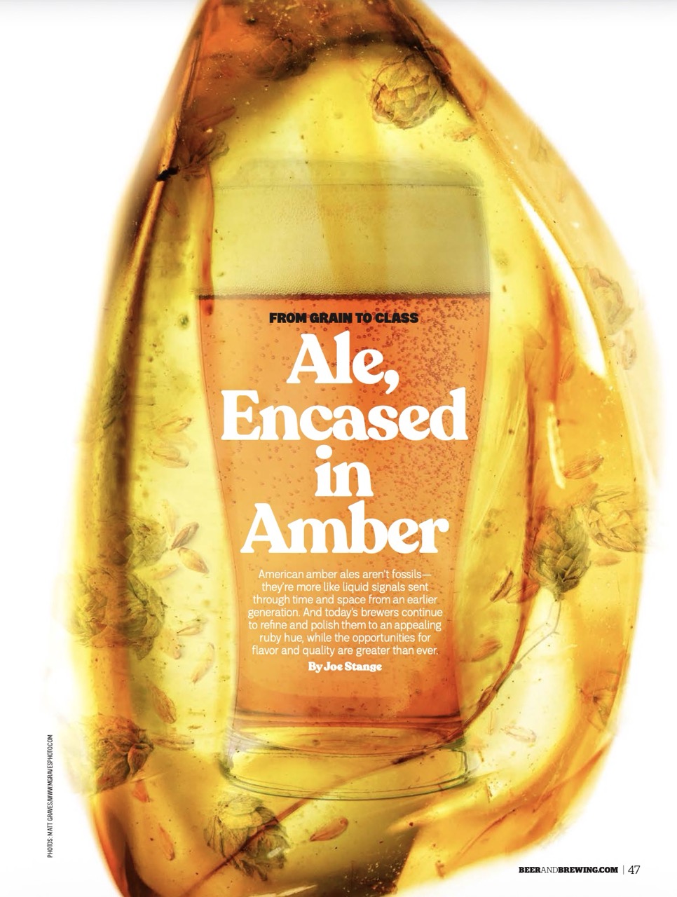 From Grain to Class (Spring 2026) - Craft Beer & Brewing