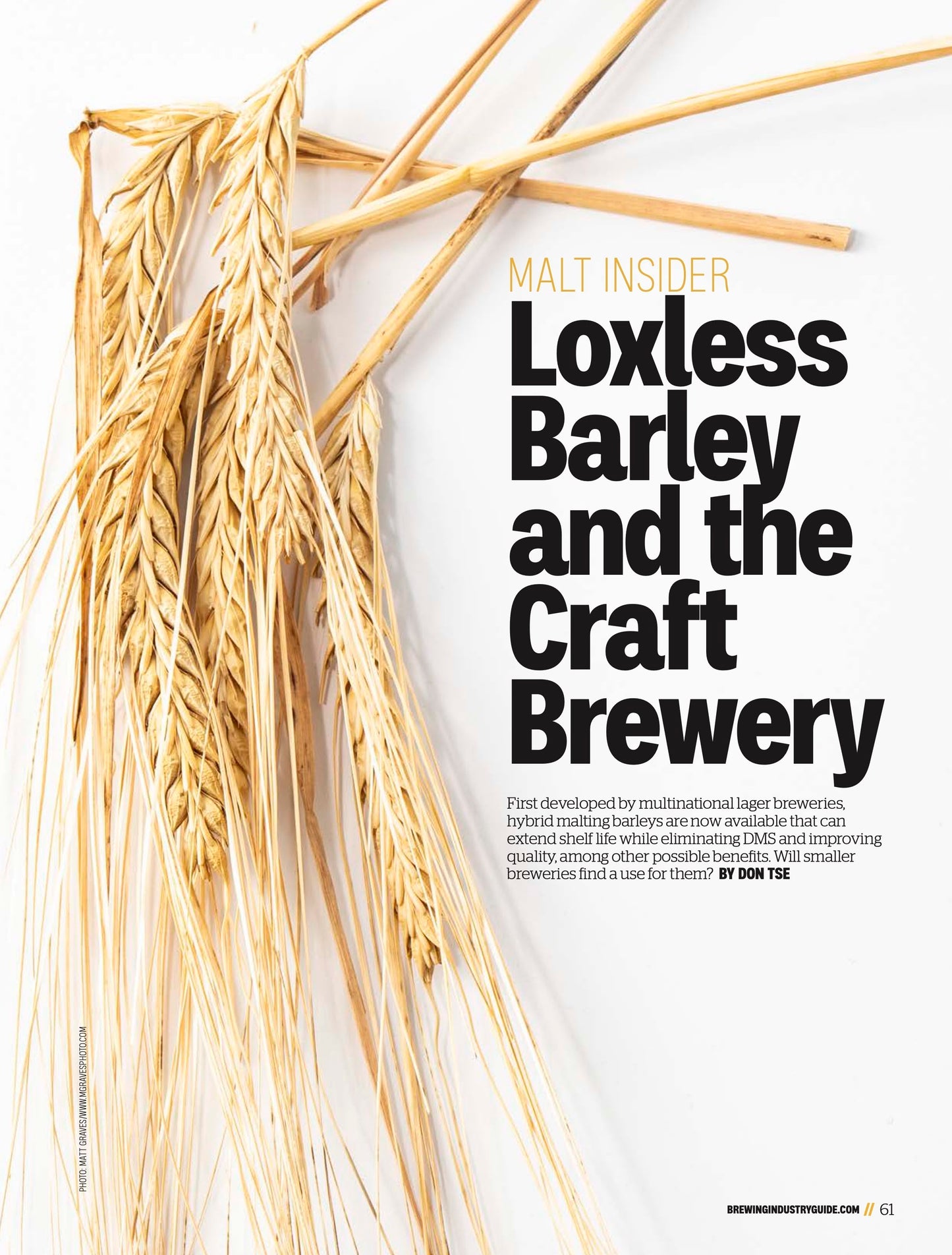 Brewing Industry Guide Fall 2025