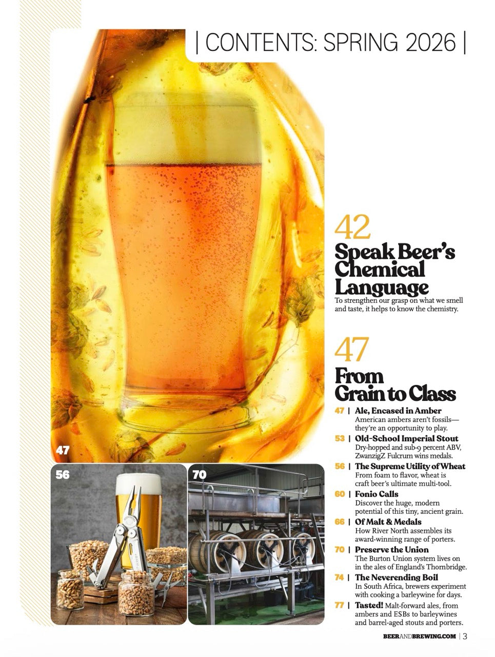 From Grain to Class (Spring 2026) - Craft Beer & Brewing