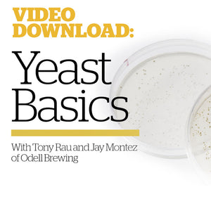 Basic Yeast Culturing & Banking (Video Download) - Craft Beer & Brewing